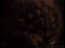 'Black Big Boob Bangeroo #2' screenshot nº 52