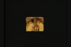 Captura de 'Anal Vision 4' nº 110