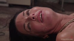Captura de 'Whipped Ass 21: Masochistic MILFS' nº 101
