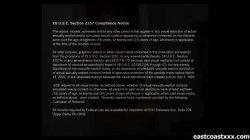 Captura de 'Dallas Diamondz - 2 Cocks and a Creampie' nº 2
