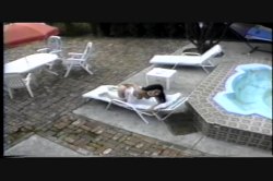 'Anal Vision 8' screenshot nº 126