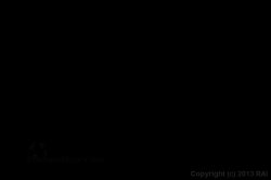 'Starving Black Models 2' screenshot nº 80
