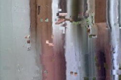 'Miss Big Ass Brazil 8' screenshot nº 45