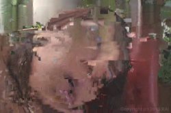 'Miss Big Ass Brazil 8' screenshot nº 81