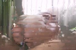 'Miss Big Ass Brazil 8' screenshot nº 87