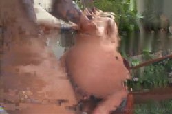 'Miss Big Ass Brazil 8' screenshot nº 92