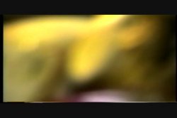 Captura de 'Anal Vision 12' nº 17