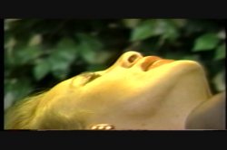 Captura de 'Anal Vision 12' nº 23