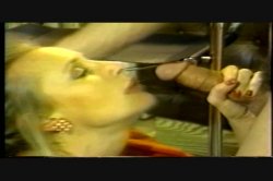 Captura de 'Anal Vision 12' nº 31