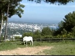 Captura de 'A Feu Et A Sexe Sur La Riviera (Hot Sex On The Riviera)' nº 46