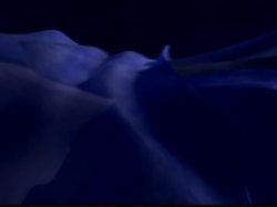 Captura de 'A Feu Et A Sexe Sur La Riviera (Hot Sex On The Riviera)' nº 136