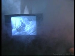 'For Pleasure' screenshot nº 19