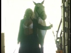 Captura de 'Rocco: Animal Trainer 3' nº 2