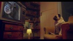 Captura de 'Katrina Moreno - Moreno POV Latina Tits Ruiner' nº 1