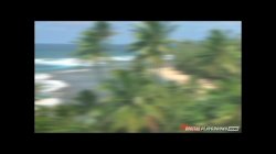 'Island Fever 2' screenshot nº 85