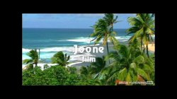 'Island Fever 2' screenshot nº 2