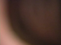 Captura de 'Dani Daniels Jerk Off Encouragement Panty / Lingerie' nº 84