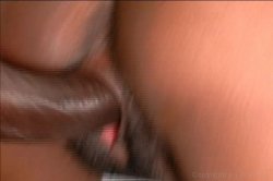 Captura de '1st Time Black Amateurs' nº 113