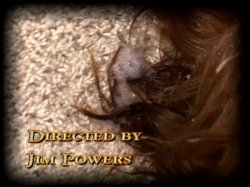 'Gag Factor 21' screenshot nº 2