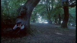Captura de 'Adolescenza' nº 23