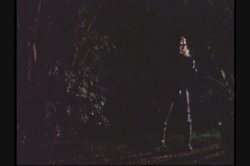 Captura de 'Hotel California' nº 91