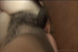 'Hairy Honies 40' screenshot nº 56