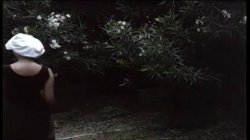 'Robin Hood' screenshot nº 51