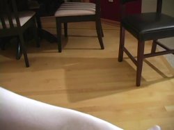 Captura de 'Adrienne Manning Jerk Off Encouragement 4' nº 27