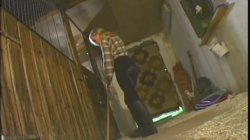 Captura de '10s Beautiful Girls 7' nº 76