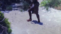 'Corre Esa Polla Papi' screenshot nº 6