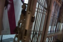 'Gangland Cream Pie 11' screenshot nº 2