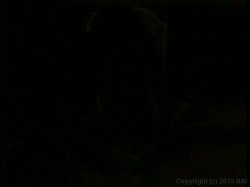 'Leg Ends 5' screenshot nº 86