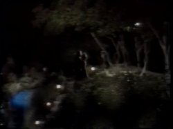 Captura de 'Puppy Love' nº 100