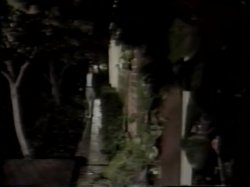 Captura de 'Puppy Love' nº 102