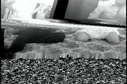 Captura de 'Summer Beach House' nº 100