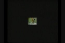'Breast Wishes 10' screenshot nº 76