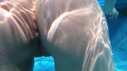 Captura de 'Alexis Texas Roadtrip Vol. 1' nº 140
