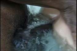 Captura de 'Up Your Ass 6' nº 118
