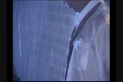 Captura de 'Playgirl's Hottest Dripping Wet Sex' nº 86