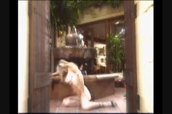 Captura de 'Playgirl's Hottest Dripping Wet Sex' nº 124