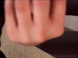 Captura de 'Joey Silvera's Big Ass She-Male Road Trip 10' nº 95