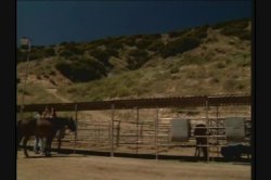 Captura de 'Gangbang Girl 15' nº 104