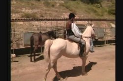 Captura de 'Gangbang Girl 15' nº 107