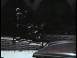 Captura de 'Peepshow Loops 277: '70s, '80s (All Color)' nº 102
