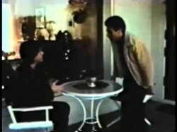 Captura de 'Peepshow Loops 277: '70s, '80s (All Color)' nº 115