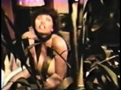 Captura de 'Peepshow Loops 277: '70s, '80s (All Color)' nº 131