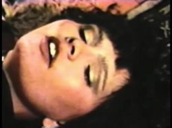 Captura de 'Peepshow Loops 277: '70s, '80s (All Color)' nº 132