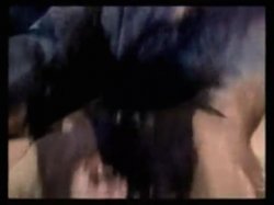'Classic Porn of the 80's #2' screenshot nº 9