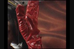 Captura de 'Flex Appeal 3' nº 69