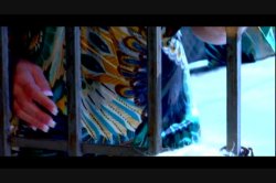 'Lesbian Spotlight: Puma Swede' screenshot nº 2